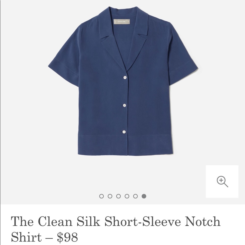 Everlane Clean Silk Notch Shirt - size 4